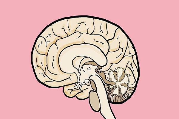 維生素B12,補(bǔ)還是不補(bǔ),關(guān)鍵在于科學(xué)理解,維生素B12的補(bǔ)充與否,科學(xué)理解是關(guān)鍵