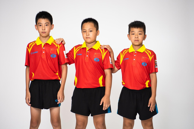 王王中王原創(chuàng)四肖選一肖,深度解析與SEO優(yōu)化策略,王王中王原創(chuàng)四肖選一肖深度解析與SEO優(yōu)化策略全攻略