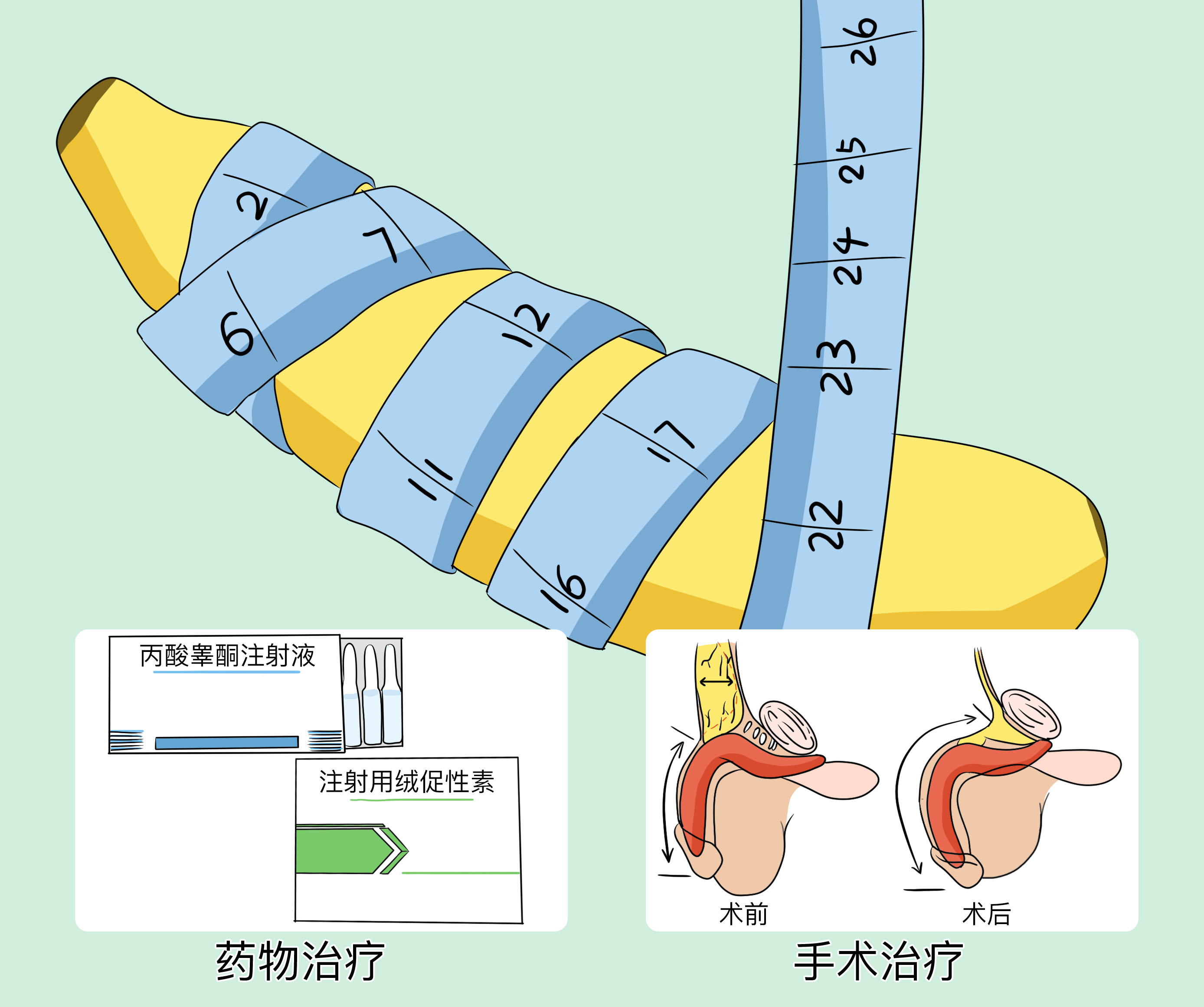 揭秘男性身體奧秘,如何使男性身體變大變長,揭秘男性身體奧秘,增大增長的秘訣探索