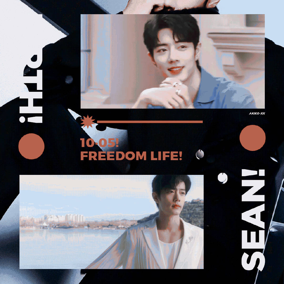 一肖一碼一一肖一子,揭秘生肖與數字之間的神秘聯系,揭秘生肖與數字之間的神秘關聯,一肖一碼一與子相連的秘密