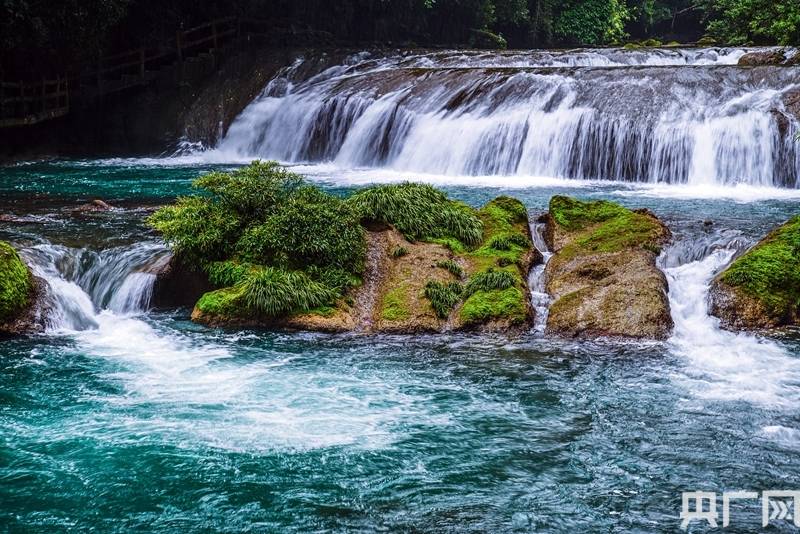探索神秘的管家婆四肖四碼,車連的秘密與魅力,揭秘管家婆四肖四碼,車連背后的神秘魅力