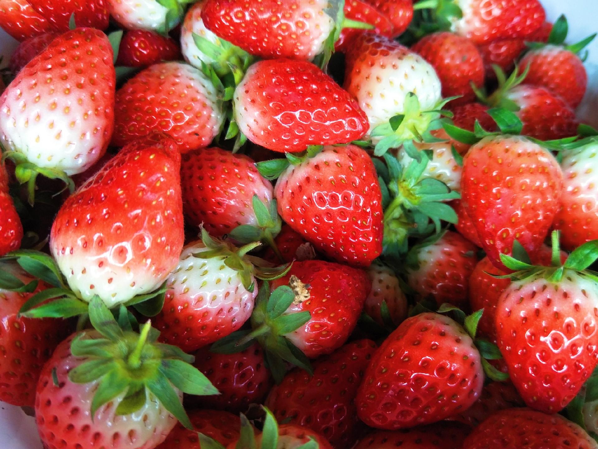 孕婦可以吃草莓嗎?草莓的營養(yǎng)價值與健康益處,草莓的營養(yǎng)價值及其對孕婦的益處探討