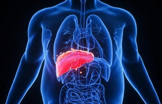 肝不好有什么癥狀,全面解析與關注,全面解析關注,肝臟不良癥狀的表現