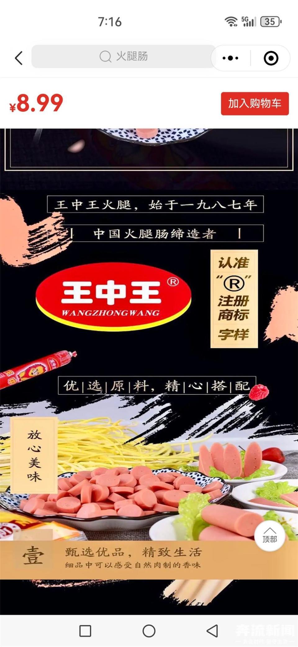 王中王中王中王一肖中特,深度解析與SEO優化策略,王中王系列深度解析與SEO優化策略指南