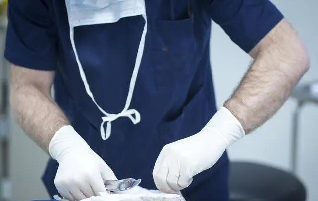 股骨頭壞死的早期信號,識別與預防的關鍵步驟,股骨頭壞死的早期信號及識別預防關鍵步驟解析