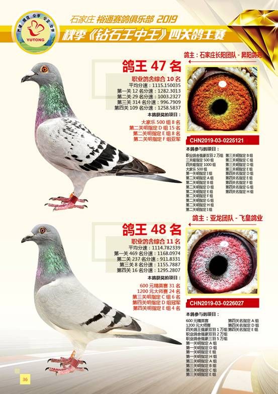 王中王一肖特四,深度解析與SEO優(yōu)化策略,王中王一肖特四深度解析與SEO優(yōu)化策略探討