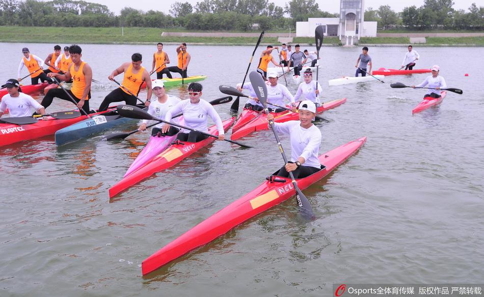 揭秘504王中王三肖一碼,真相與SEO奧秘,揭秘504王中王三肖一碼,真相與背后的SEO奧秘探索