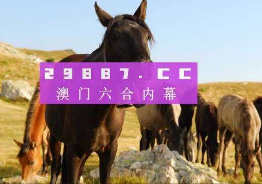 揭秘77777888管家婆四肖——全面解析與SEO優化策略,揭秘77777888管家婆四肖,全面解析與SEO優化攻略