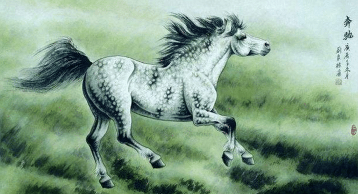 千里馬一肖王中王,探尋卓越與領(lǐng)袖的完美結(jié)合,千里馬一肖王中王,卓越與領(lǐng)袖的完美結(jié)合探尋