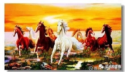 千里馬一肖王中王,探尋卓越與領(lǐng)袖的完美結(jié)合,千里馬一肖王中王,卓越與領(lǐng)袖的完美結(jié)合探尋