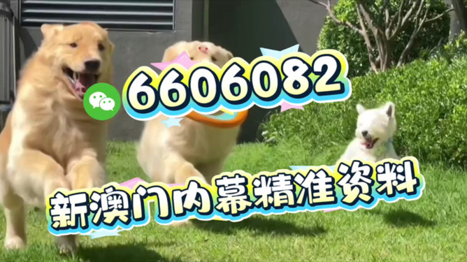 澳門今晚必開一肖一特四不像,探索生肖與特碼背后的秘密,澳門生肖與特碼背后的秘密探索