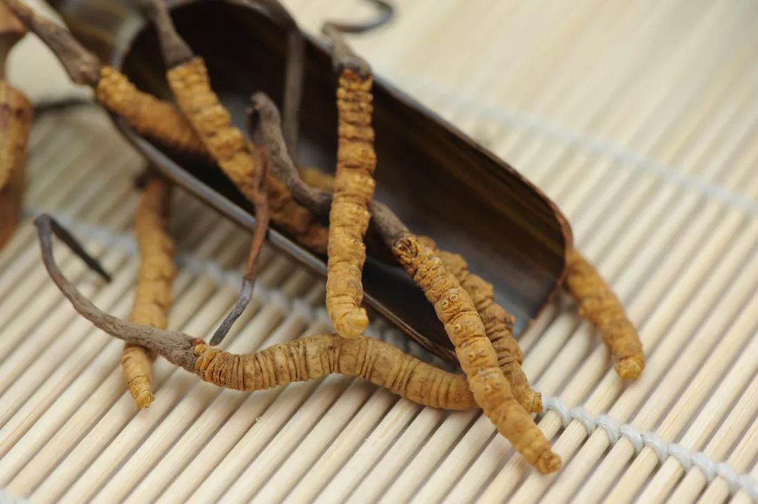 冬蟲夏草圖片,探尋神秘的草藥世界與珍貴圖片展示,冬蟲夏草圖片,探尋草藥世界的神秘與珍貴圖片展示