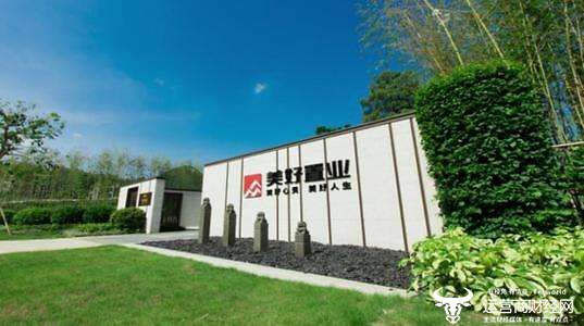 美好置業,打造理想居住的優選之地,美好置業,理想居住的優選之地