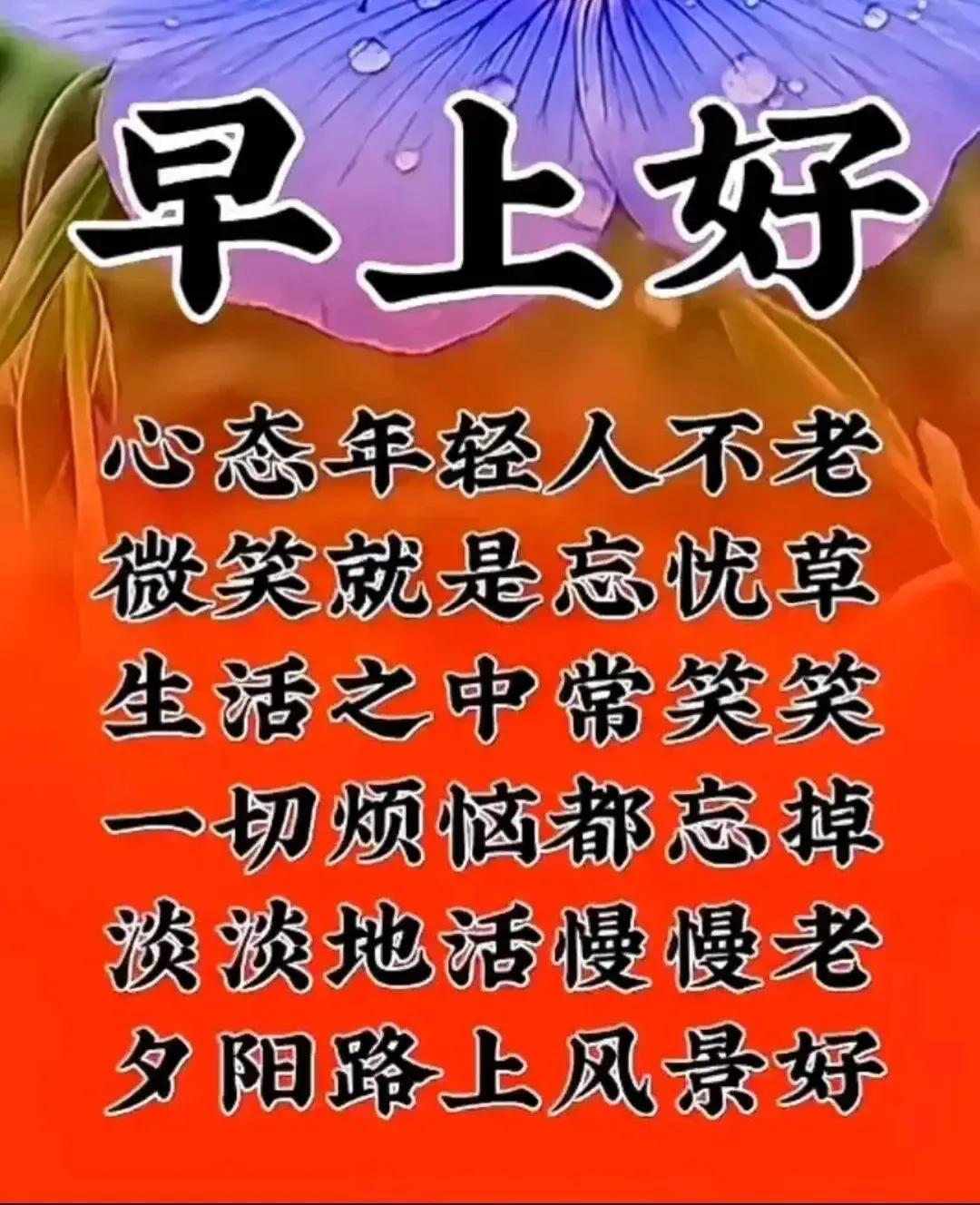 一周減肥法,輕松瘦掉10斤的秘密武器,一周減肥法,輕松瘦掉10斤的秘密武器揭秘!