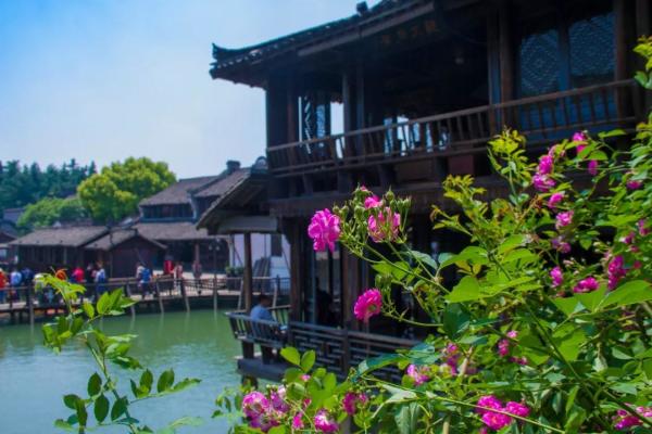 烏鎮旅游攻略,探索必玩景點的完美指南,烏鎮旅游攻略,探索必玩景點的最佳指南