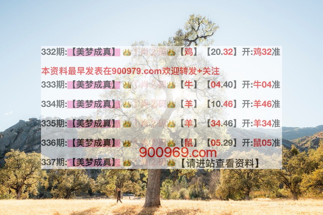 澳門寶典，探索最快開獎(jiǎng)結(jié)果及其魅力，澳門寶典，探索最新開獎(jiǎng)速度與魅力所在