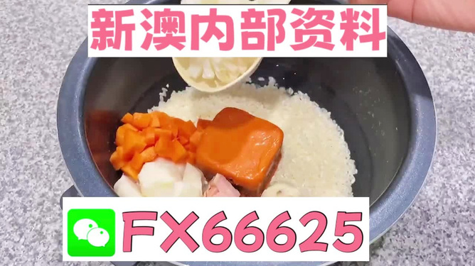 新奧精準(zhǔn)免費資料提供，探索與實踐的完美結(jié)合，新奧精準(zhǔn)免費資料探索，實踐與完美結(jié)合的探索之旅