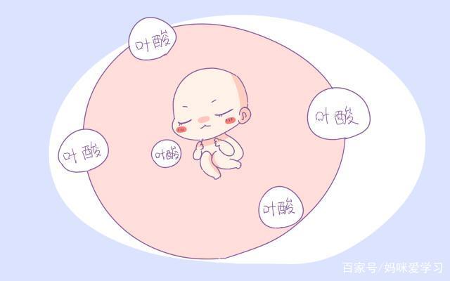 女人天天吃葉酸的好處,女人天天吃葉酸的好處有哪些?