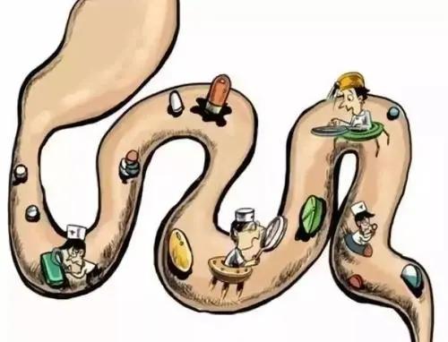 養肝護肝的秘訣,你必須要知道的十大食物,養肝護肝秘訣,十大必備食物知識盤點