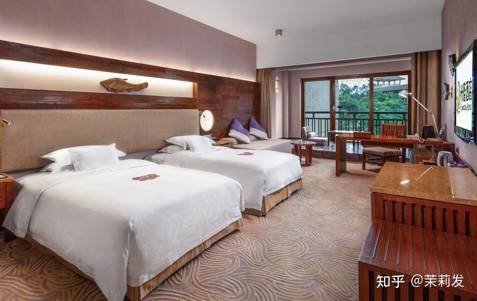 廣州長隆酒店入住攻略,全方位體驗與實用指南,廣州長隆酒店入住全攻略,體驗與指南大盤點