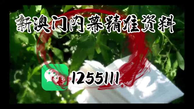 澳門特馬必開一肖,揭秘背后的秘密與策略,澳門特馬必開一肖,揭秘背后的秘密策略與真相探索