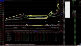 一肖平碼王中王,揭秘背后的秘密與策略,揭秘一肖平碼王中王的秘密與策略