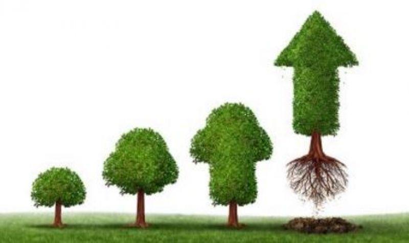 中環股份股票股吧深度解析,中環股份股票深度解析與股吧探討