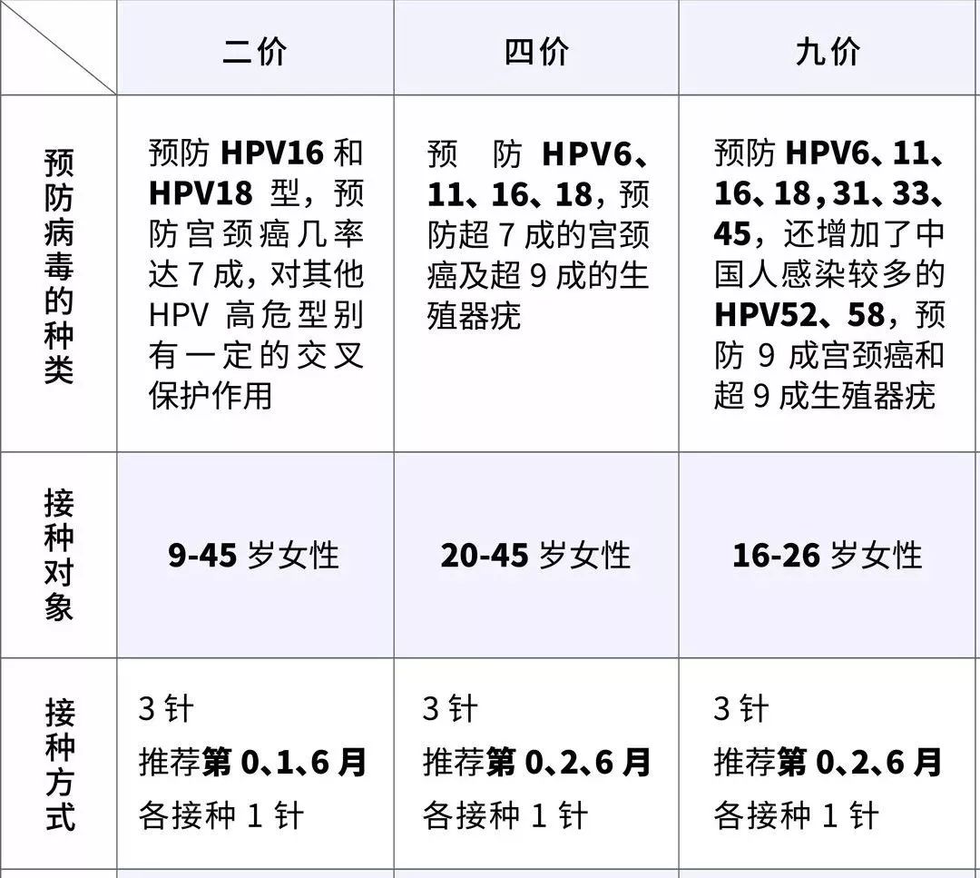 關于接種HPV疫苗后多久可以同房的探討,HPV疫苗接種后同房時間探討,疫苗影響與恢復時間解析
