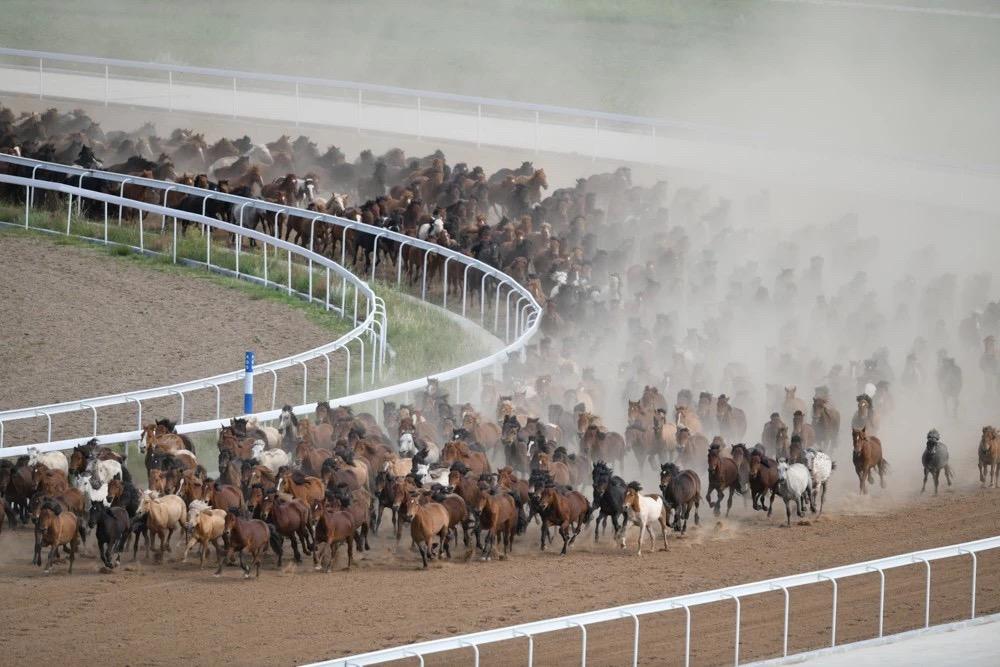 澳門賽馬會(huì)，最快開獎(jiǎng)直播的全面解析，澳門賽馬會(huì)，最快開獎(jiǎng)直播詳解
