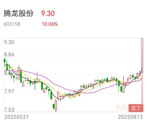 騰龍股份,引領行業前沿,共創輝煌未來,騰龍股份,引領行業,共創輝煌未來