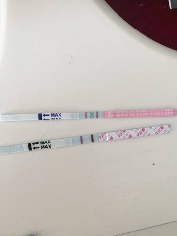 一直弱陽就是沒排卵嗎?解析排卵檢測中的誤區與真相,解析排卵檢測中的誤區與真相,一直弱陽是否意味著沒有排卵?