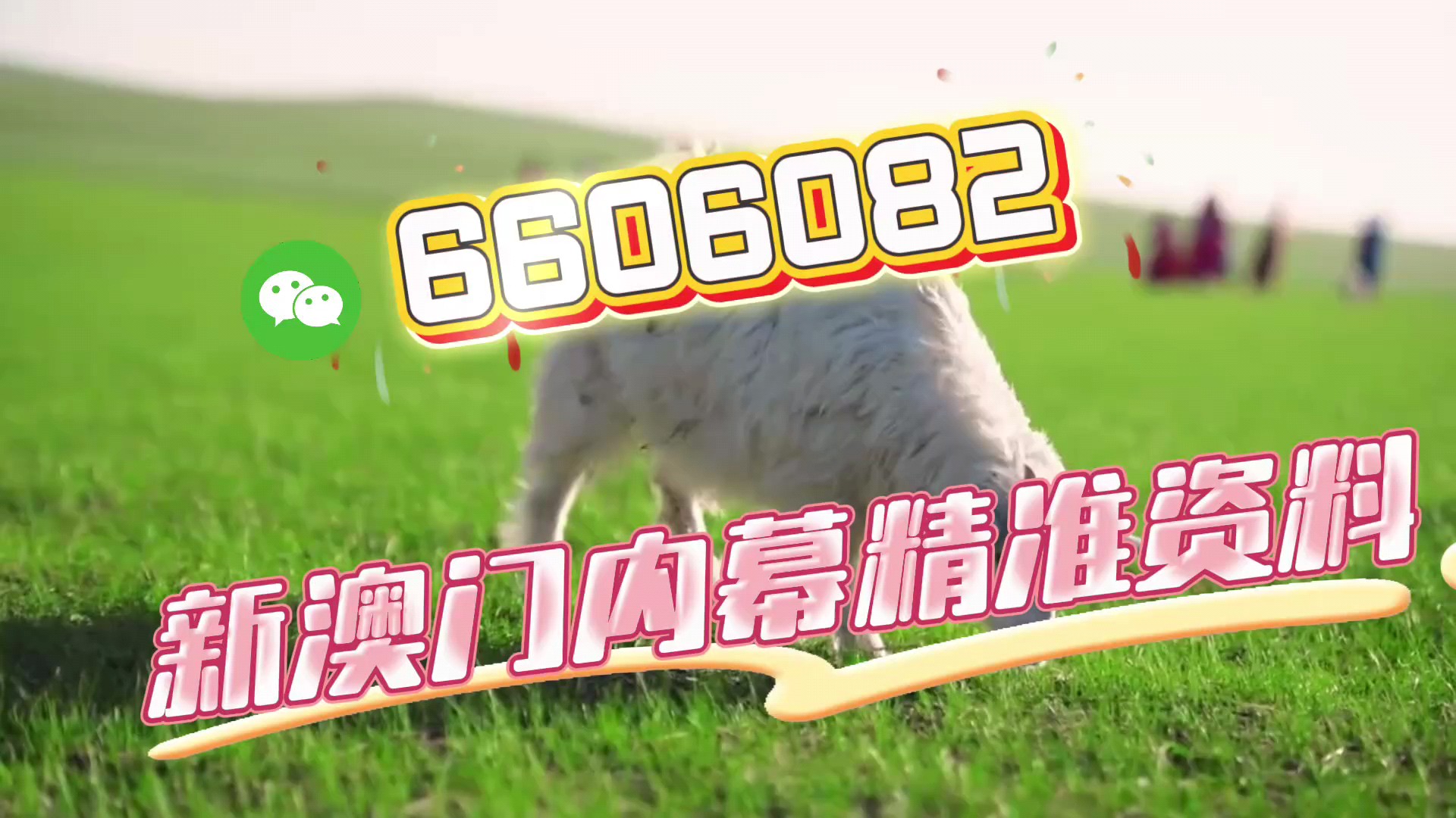 澳門一一碼一特一中準選今晚,探索澳門的魅力與精準預測,澳門魅力探索與今晚精準一碼預測