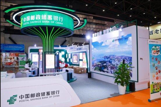 新澳2025今晚開獎資料詳解，新澳2025今晚開獎資料全面解析