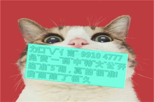 一肖啥意思,深度解析與SEO優(yōu)化文章,一肖含義深度解析與SEO優(yōu)化策略探討