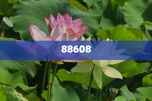 2025正版資料免費公開,獲取優質資源的全新時代,優質資源免費公開,開啟全新時代獲取優質資料之旅