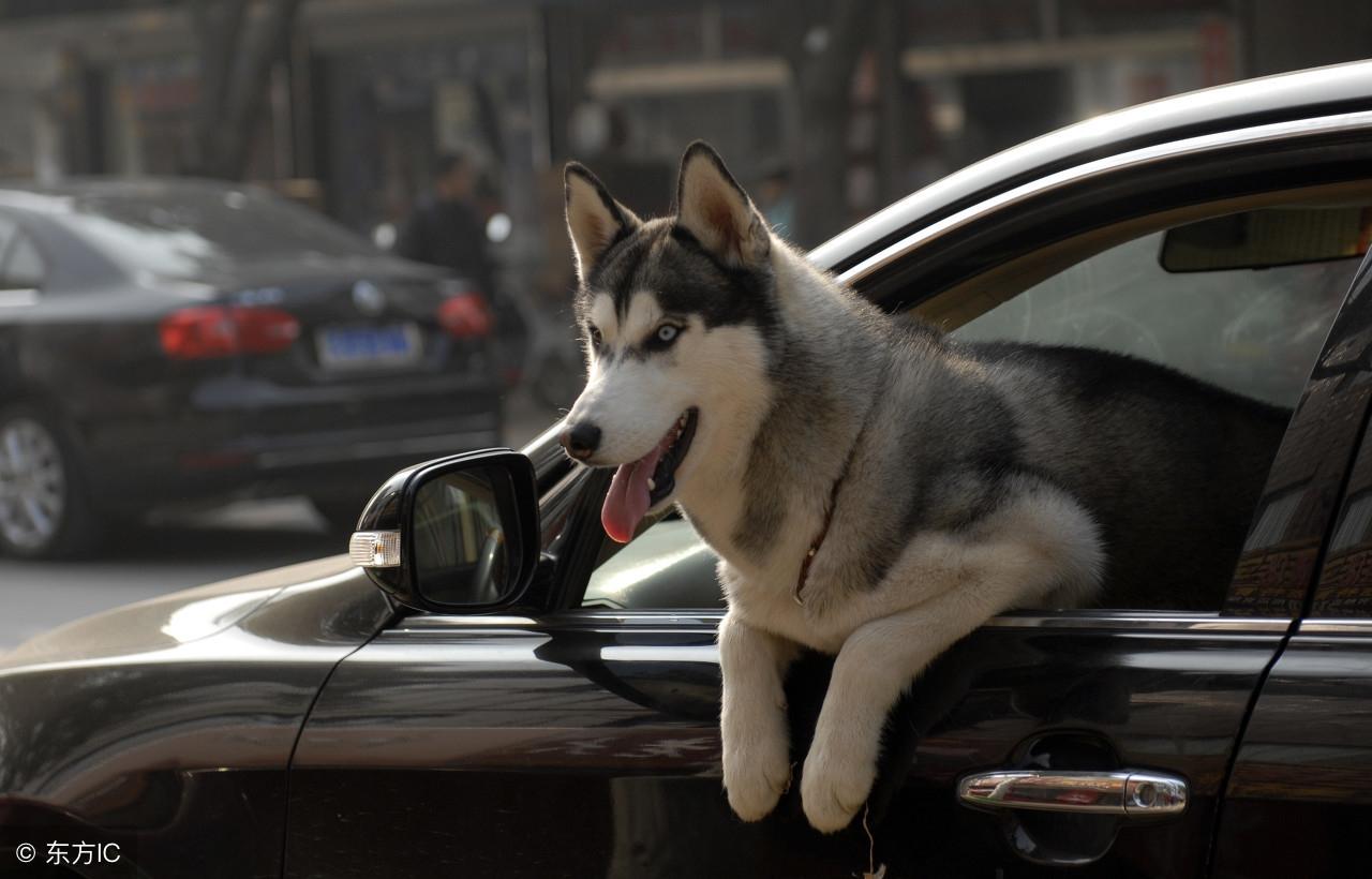 今晚九點三十分特馬開彩盛宴,揭秘彩票背后的秘密!,揭秘彩票背后的秘密,今晚九點三十分特馬開彩盛宴!
