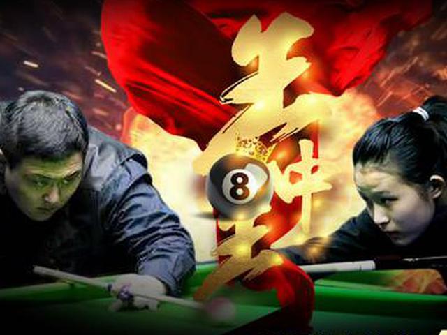 王中王一肖精準資料大全，揭秘背后的秘密，王中王一肖資料揭秘，背后的秘密全解析