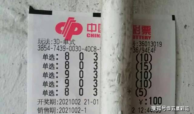 揭秘王中王平特一肖，背后的故事與奧秘，揭秘王中王平特一肖背后的故事與奧秘探秘