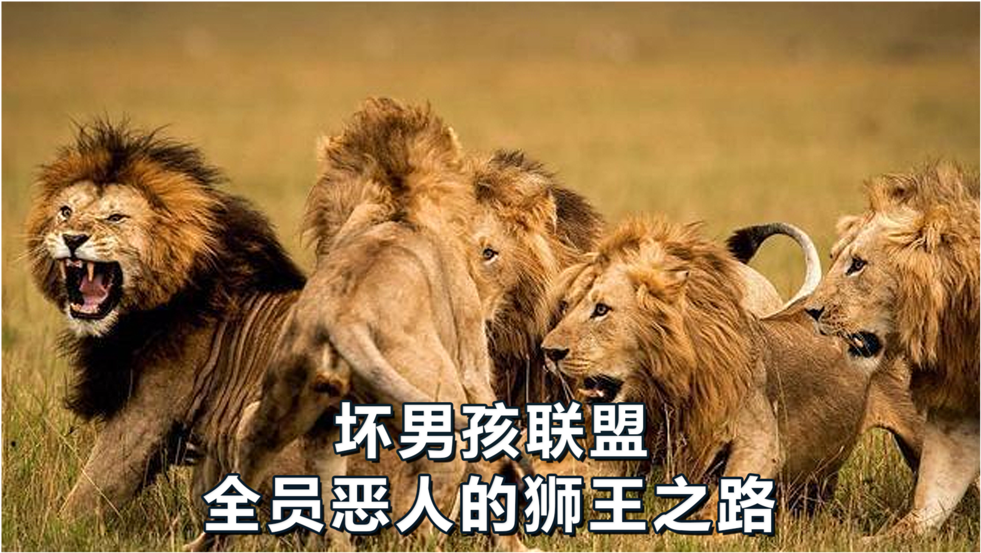王中王必中一肖四不像圖——深度解析與探索，王中王必中一肖四不像圖深度解析與探索揭秘