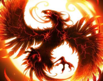 王中王精準一肖中鳳凰，揭秘預測之謎，揭秘王中王精準預測一肖中鳳凰的奧秘