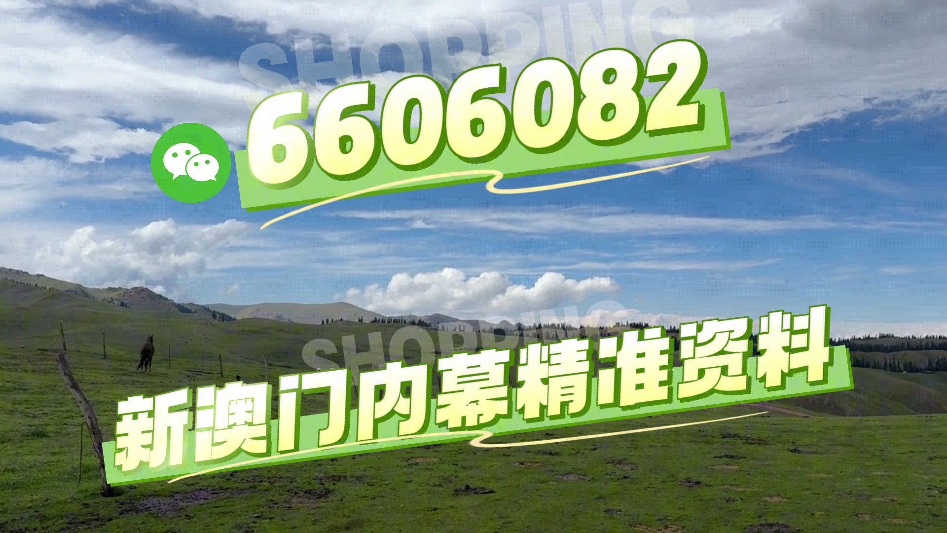 澳門今晚必開一肖一特，揭秘生肖彩票的魅力與策略，澳門生肖彩票揭秘，必開一肖一特的魅力與策略探討