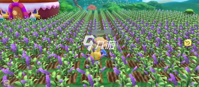 摩爾莊園紫羅蘭種子,種植與優化的SEO策略,摩爾莊園紫羅蘭種子種植與SEO策略優化指南