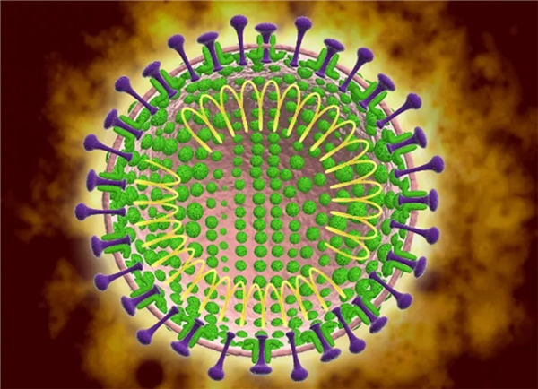 新型冠狀病毒的治療方法,科學應對,守護健康,科學應對新型冠狀病毒,治療方法與守護健康之道