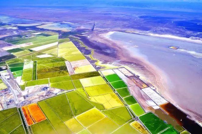 天下彩天天空彩資料免費大全管家,探索與解析,天下彩天天空彩資料大全管家,深度探索與解析