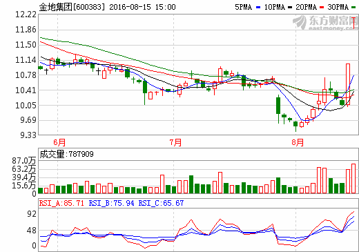 關(guān)于600383的最新消息全面解析,600383最新消息全面解析