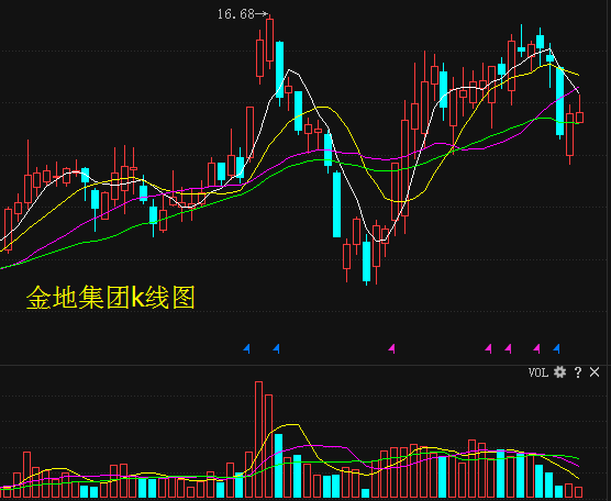 關于600383的最新消息全面解析,600383最新消息全面解析