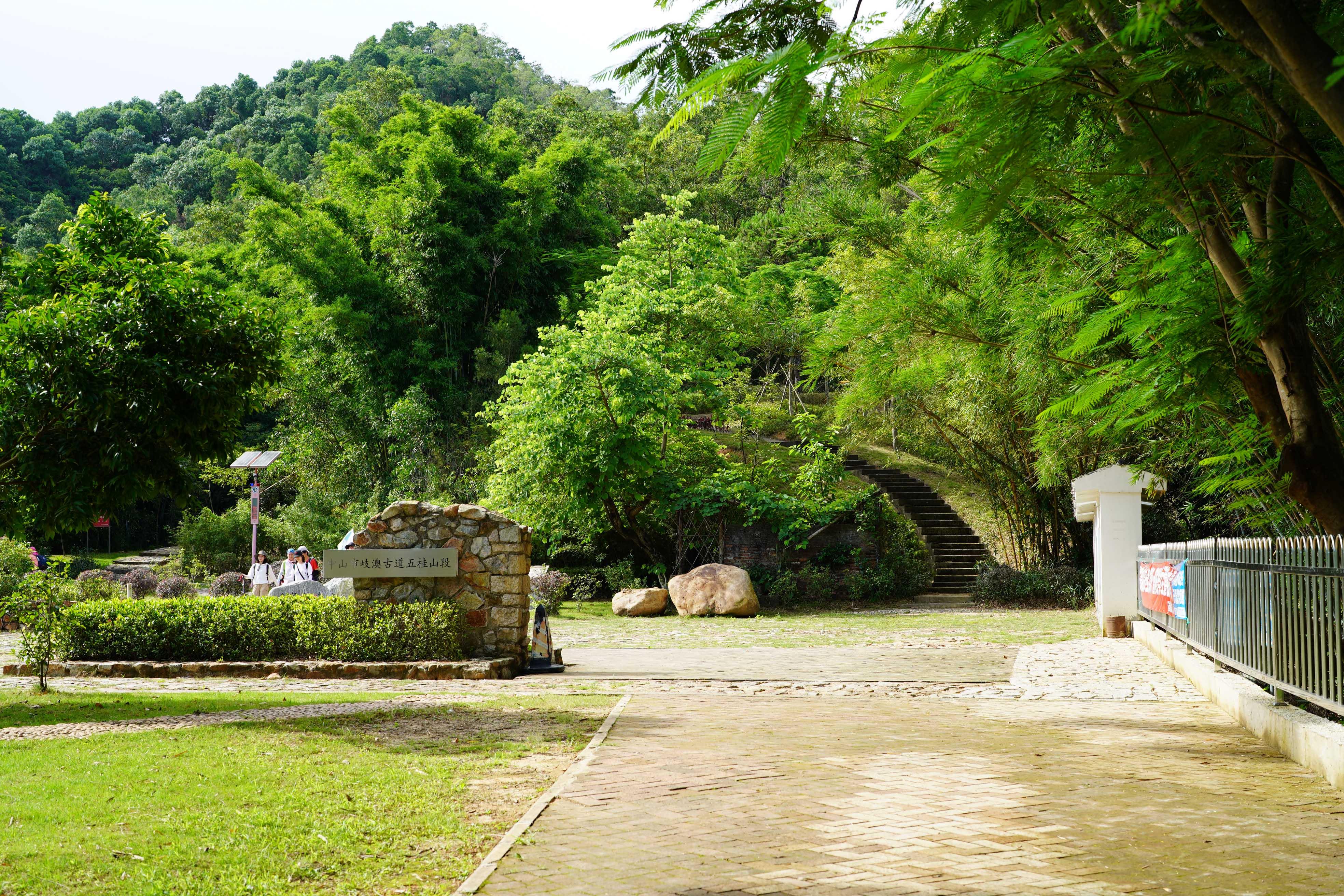 新奧門彩出號綜合走勢分析，新奧門彩出號綜合走勢解析