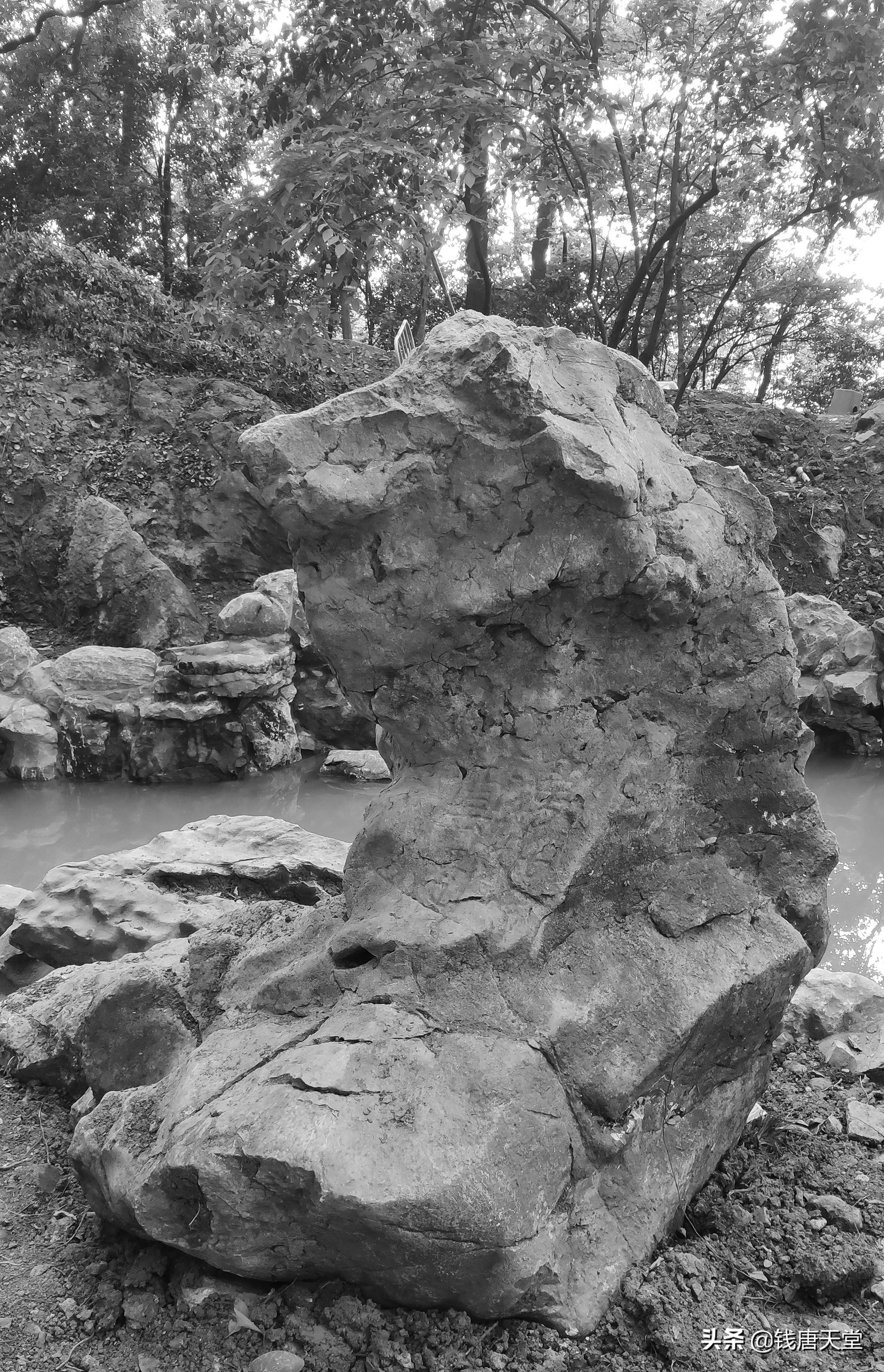 演員吳越個人資料男，一位備受矚目的影視新星，影視新星吳越的個人資料簡介