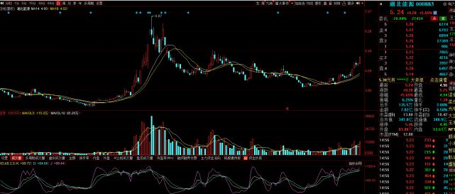 電力龍頭股票,市場趨勢與投資前景展望,電力龍頭股票,市場趨勢及投資前景展望