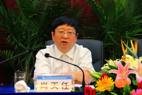 王中王資科一肖中持天,深度解析與SEO優化策略,王中王資科一肖中持天深度解析與SEO優化策略探討